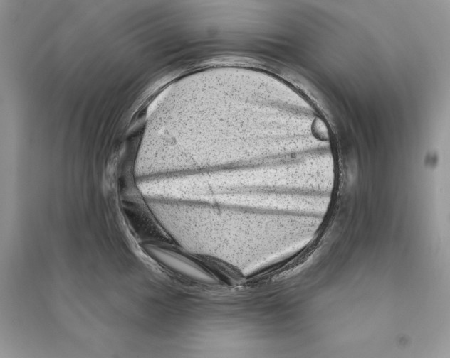 X0000090611049200708141347