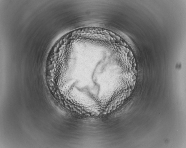 X0000090611051200708141347