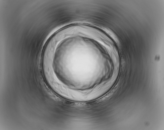 X0000090611052200708141347