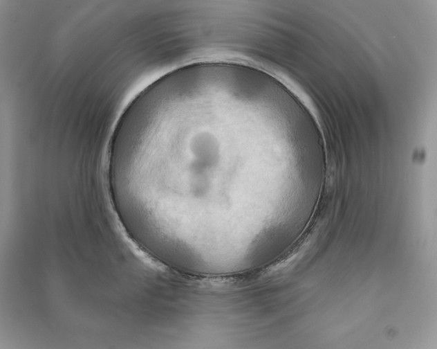 X0000090611053200708141347