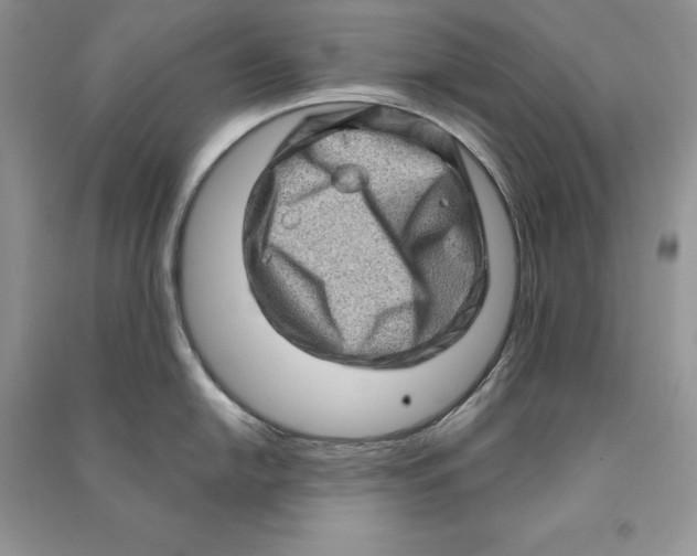 X0000090611054200708141347