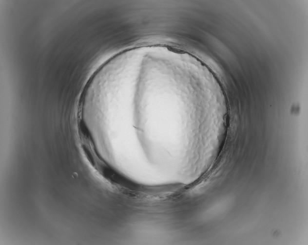 X0000090611055200708141347