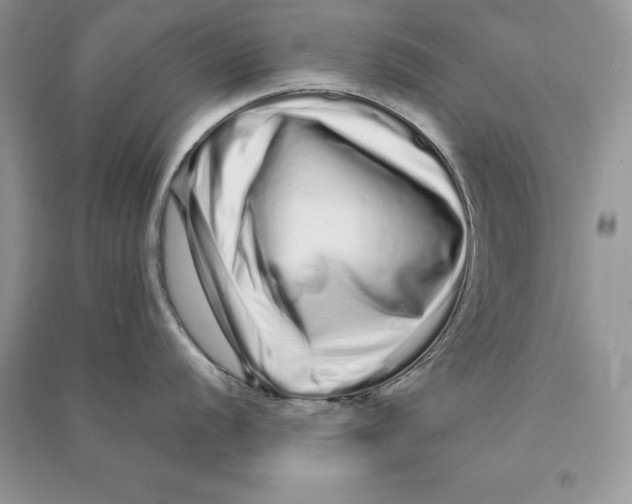 X0000090611056200708141347