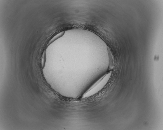 X0000090611057200708141346