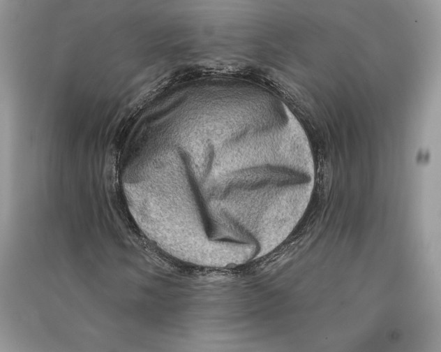 X0000090611058200708141346