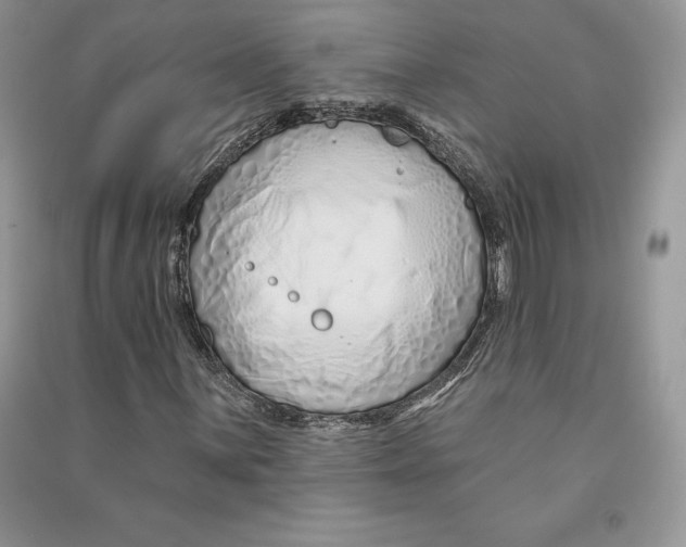 X0000090611059200708141346