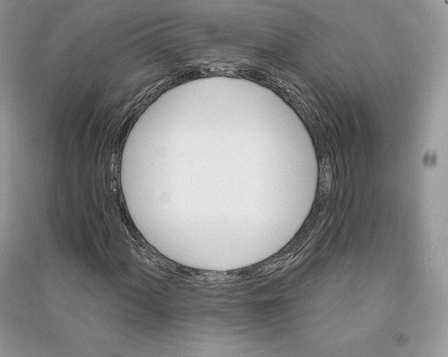 X0000090611060200708141346