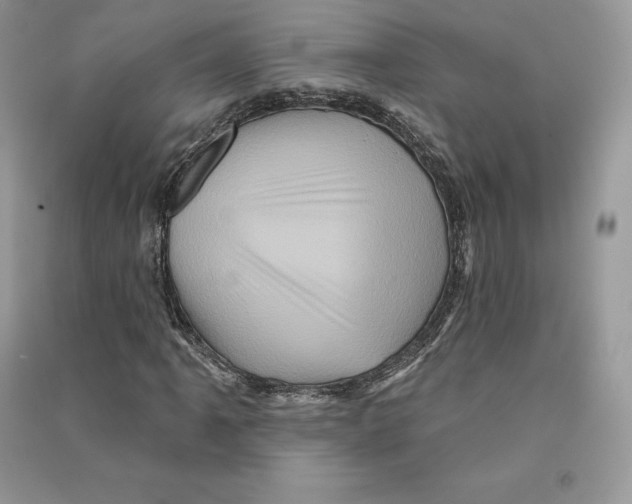 X0000090611061200708141346