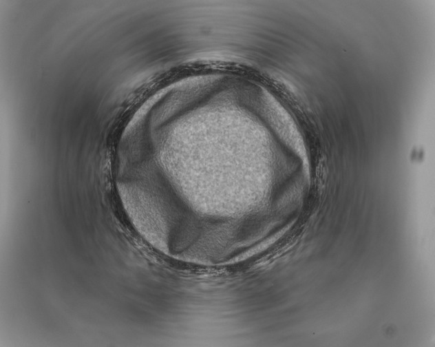 X0000090611062200708141346