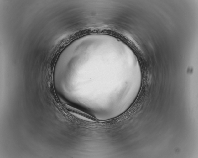 X0000090611063200708141346