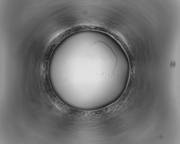 X0000090611064200708141346