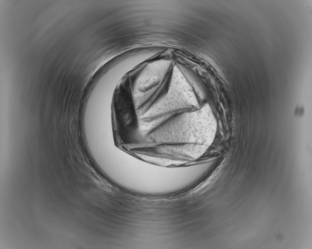 X0000090611065200708141346