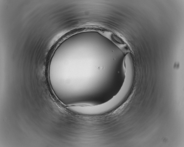 X0000090611066200708141346