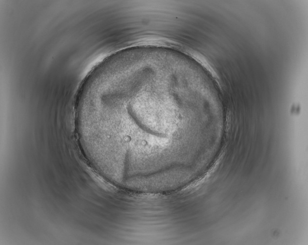 X0000090611067200708141346