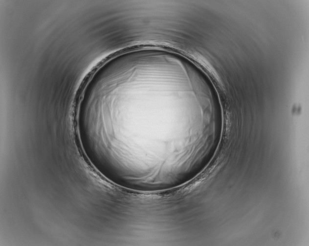 X0000090611068200708141346