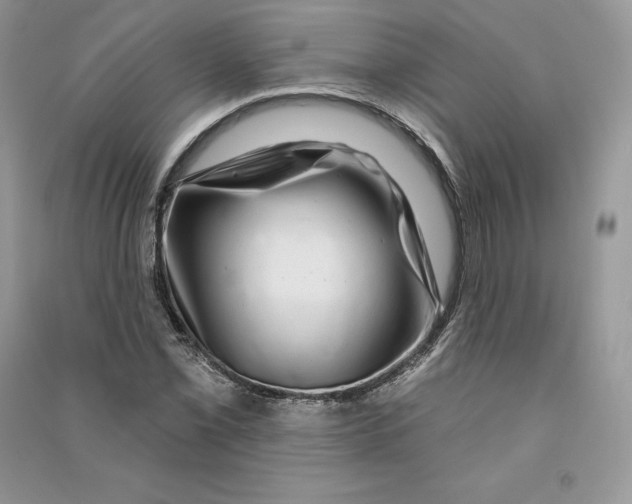 X0000090611069200708141346