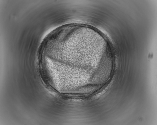 X0000090611070200708141346