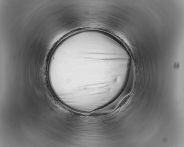 X0000090611071200708141346