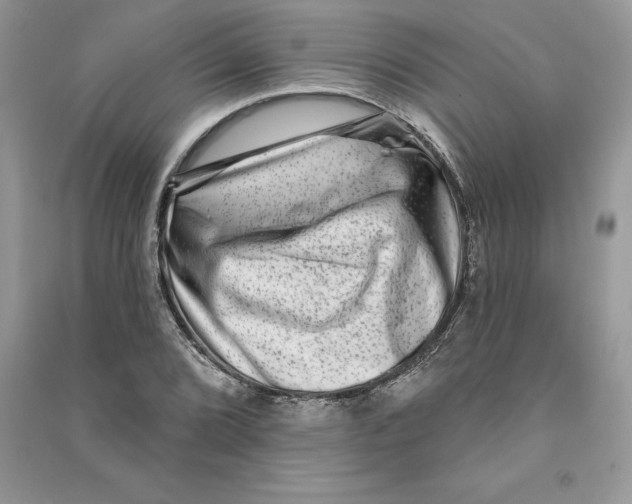 X0000090611072200708141346