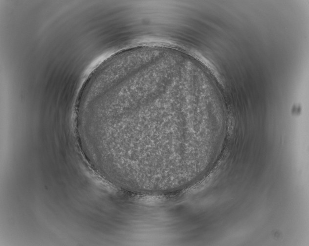 X0000090611074200708141346