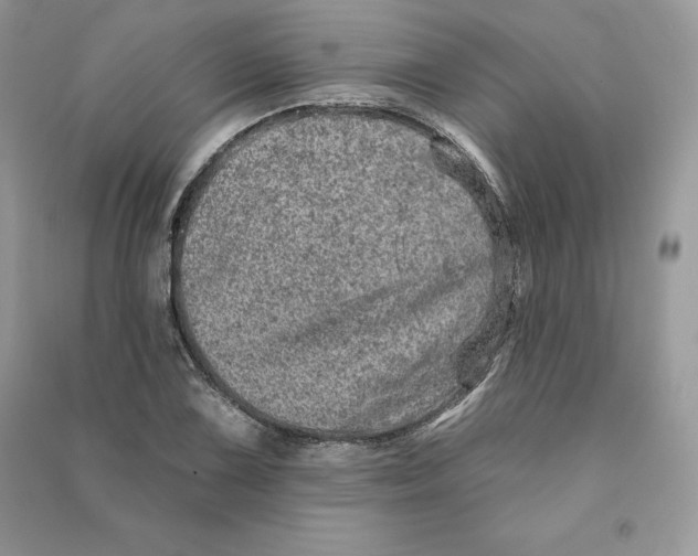 X0000090611075200708141346