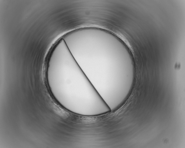 X0000090611076200708141346