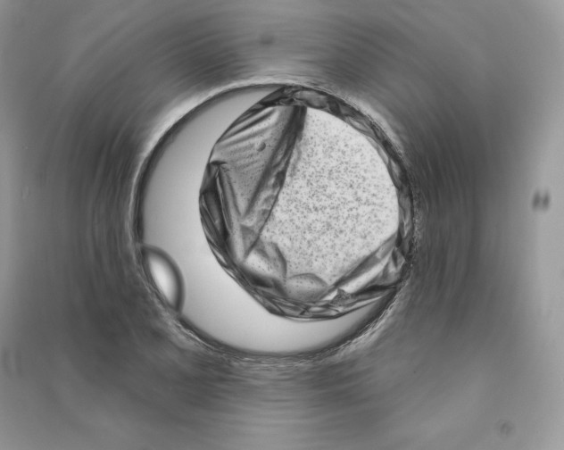 X0000090611077200708141346