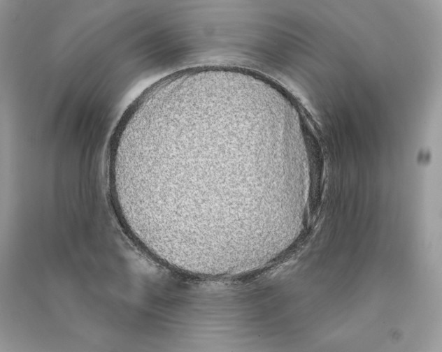 X0000090611078200708141346