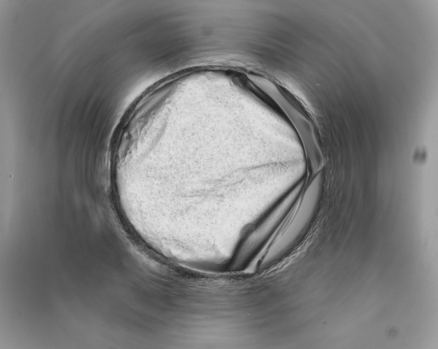 X0000090611079200708141346