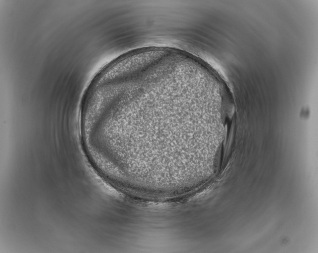 X0000090611080200708141346