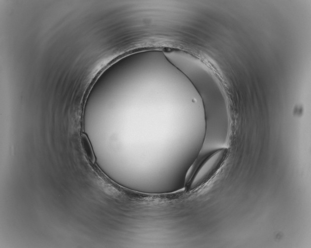 X0000090611081200708141346