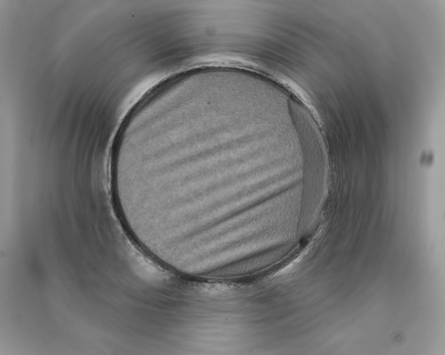 X0000090611082200708141346