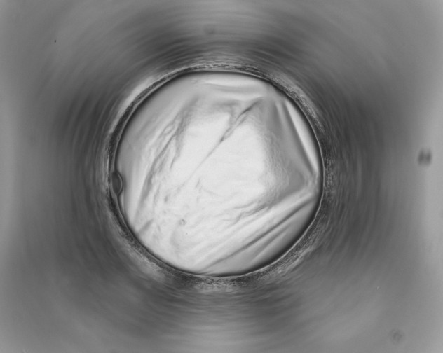 X0000090611083200708141346