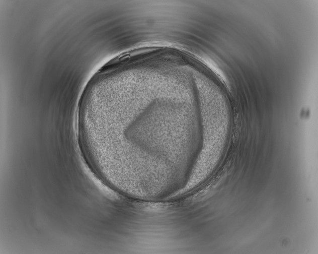 X0000090611084200708141346