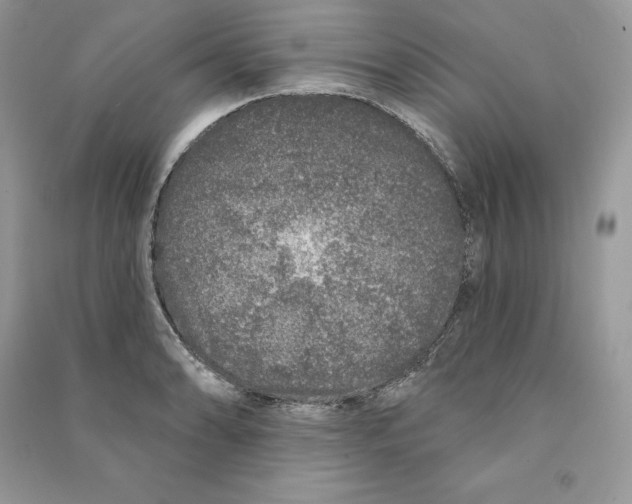 X0000090611086200708141346