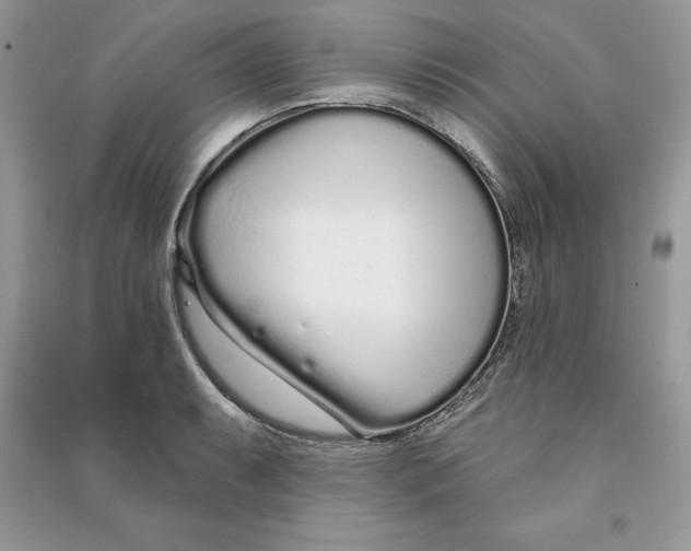 X0000090611087200708141346