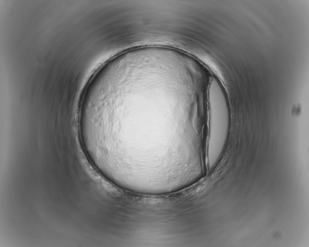 X0000090611088200708141346