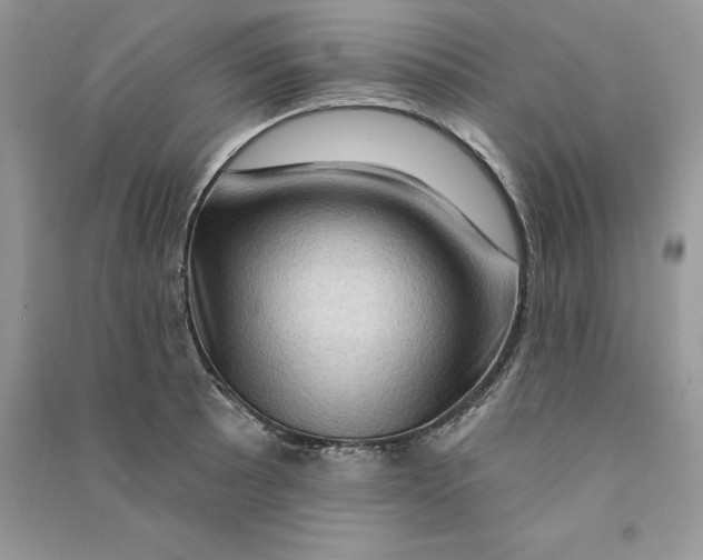 X0000090611089200708141346