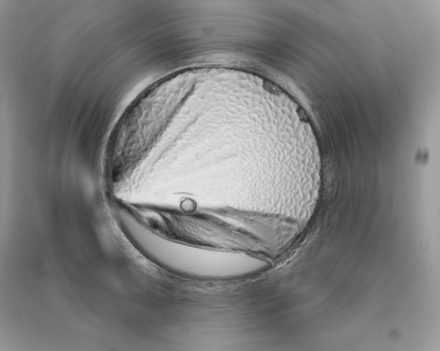 X0000090611091200708141346