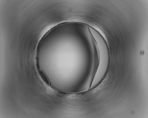 X0000090611093200708141346