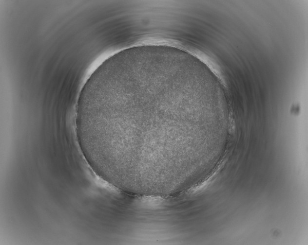 X0000090611094200708141346