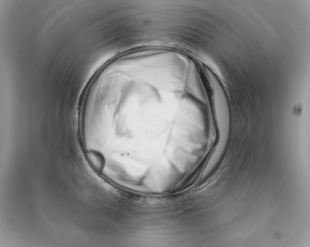 X0000090611095200708141346