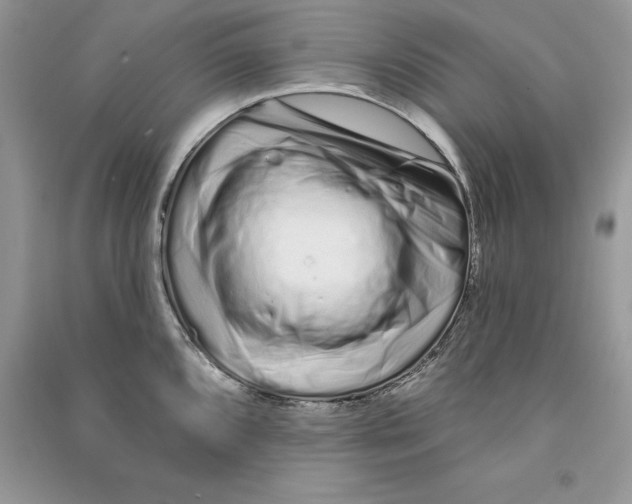 X0000090611096200708141346