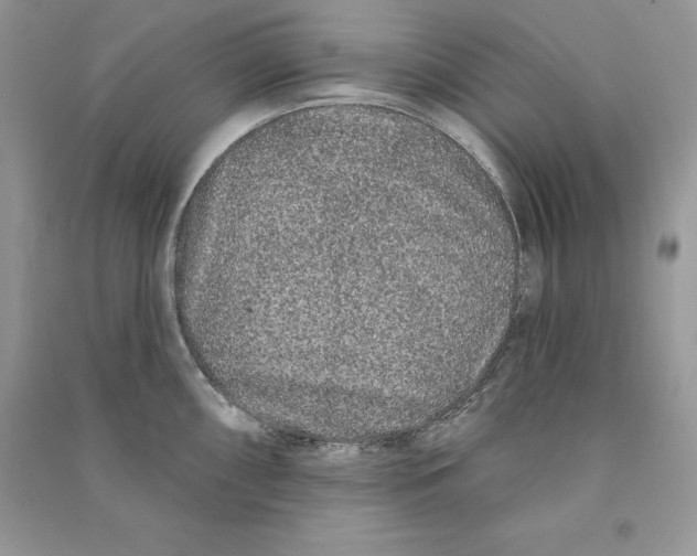 X0000090611098200708141346