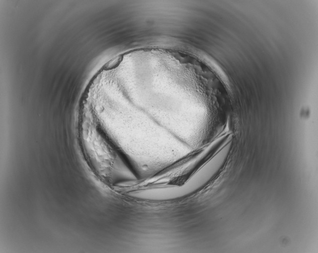 X0000090611099200708141346