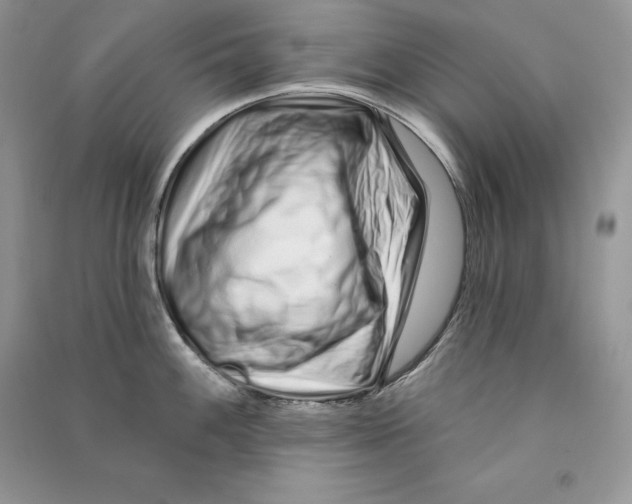 X0000090611100200708141346