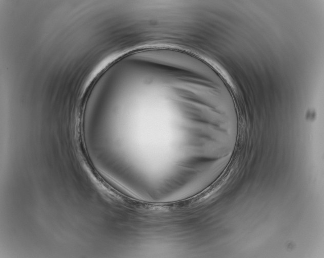 X0000090611101200708141346