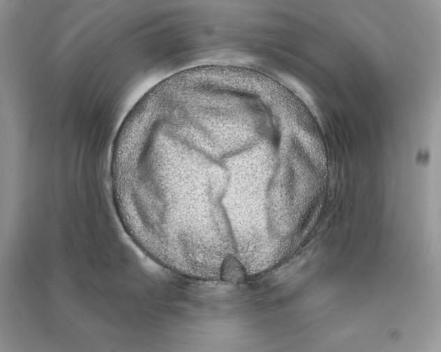 X0000090611103200708141346