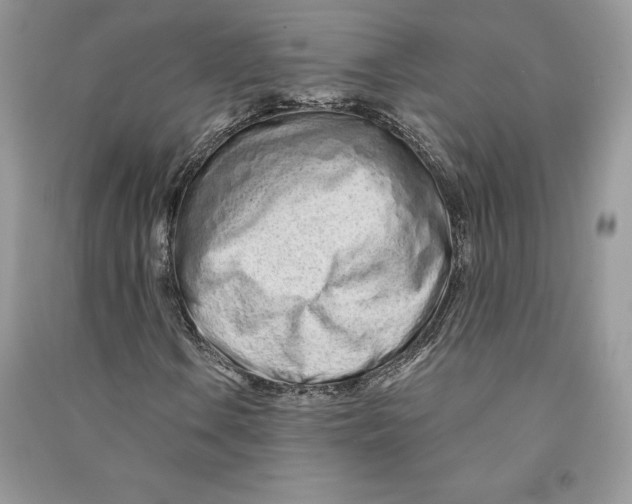 X0000090611106200708141345