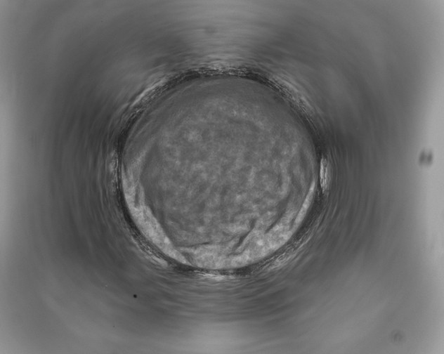 X0000090611107200708141345